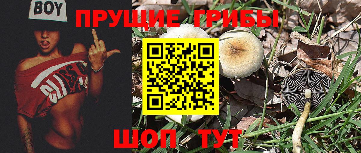 Псилоцибиновые грибы Cubensis  купить закладку  Острогожск  Вход с VPN  Галлюциногенные грибы Magic Shrooms 