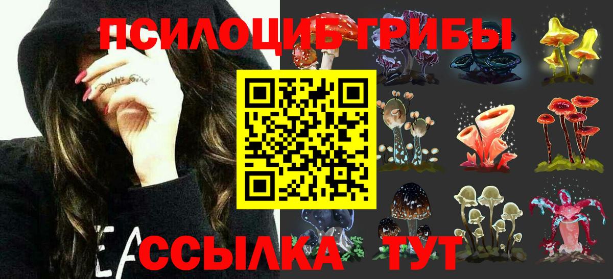Псилоцибиновые грибы мухоморы Острогожск
